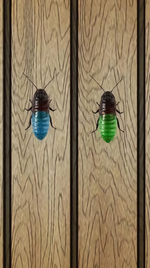 蟑螂終極淘汰賽 v1.1 安卓版 3