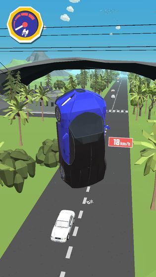 荒野飛車