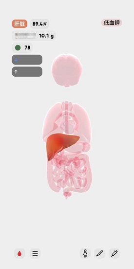 人體模擬器 人體模擬器游戲下載