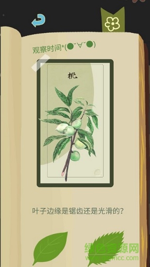 老農(nóng)種樹(shù)手游