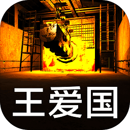 孫美琪疑案王愛(ài)國(guó)游戲