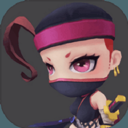 忍者斗惡龍
