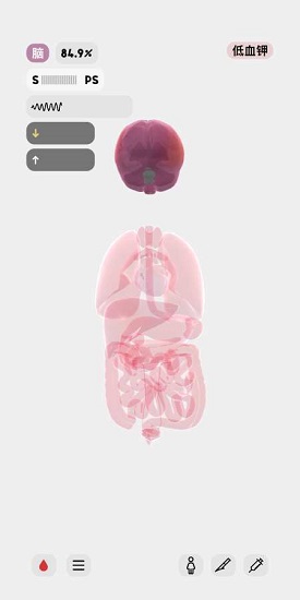 生命人體模擬器漢化 v1.0.0 安卓版 0