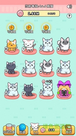 我的小貓花花 v2.8.0 安卓版 0