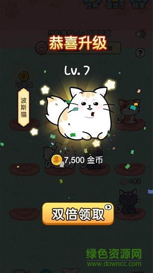 我的小貓花花 我的小貓花花下載