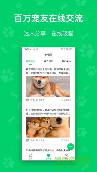 每日鮮糧安卓版