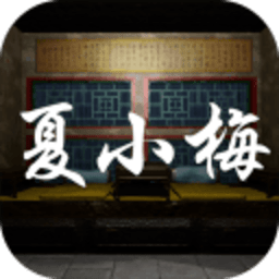 孫美琪疑案夏小梅