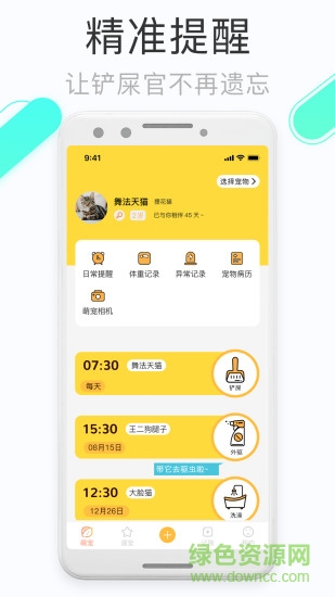 鏟屎官的日常3