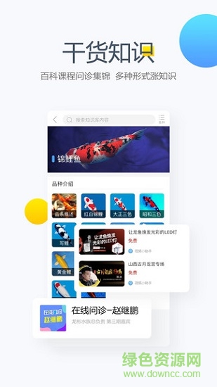 龍巔商城蘋果版