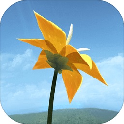 flower花游戲官方
