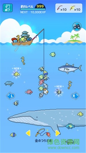 小型水族館0