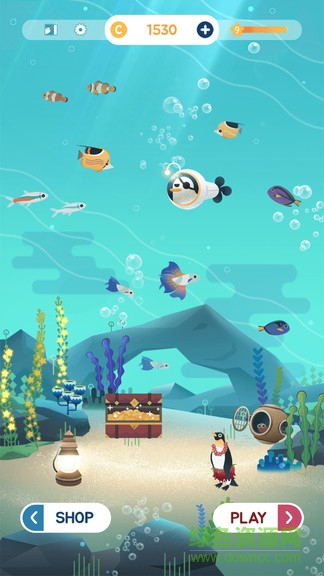 水族館之謎 v12 安卓版 3