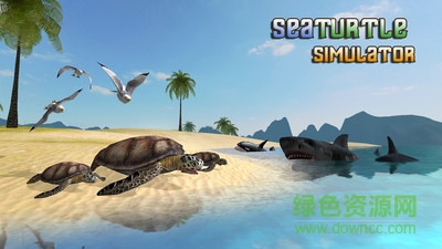 海龜模擬器
