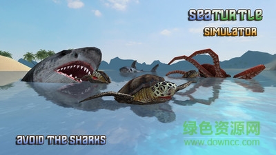 海龜模擬器游戲手機(jī)版 v1.12 安卓版 2