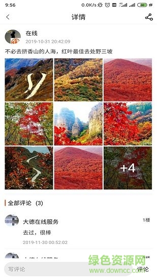 大德在線app下載