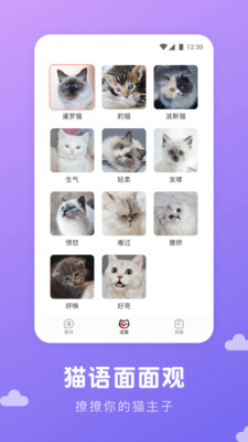貓語(yǔ)翻譯器軟件 v1.2.0 安卓版 1