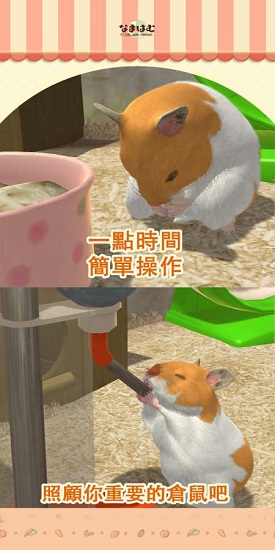 我的倉鼠游戲 v1.0.3 安卓版 1