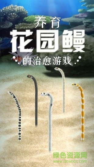 養(yǎng)育花園鰻的治愈手游下載