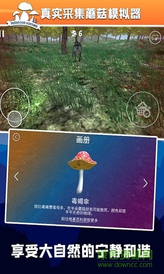 真實(shí)采集蘑菇模擬器 真實(shí)采集蘑菇模擬器官方游戲下載