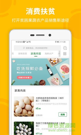 菏菜壹號(hào)