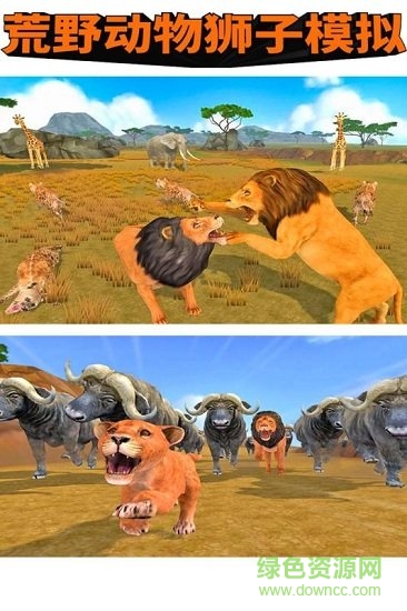 荒野動物獅子模擬游戲下載