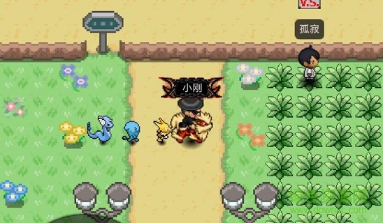 寶可夢plus最新版(pokeplus) v1.0.8 安卓版 1
