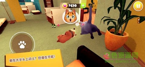 貓咪模擬器3d游戲 v4.1.0 安卓版 3