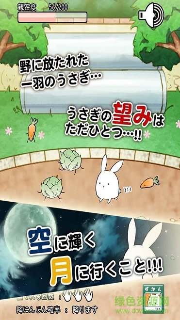 這貨是兔子 v1.1.7 安卓版 2