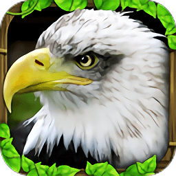 模擬獵鷹中文版(Eagle Simulator)