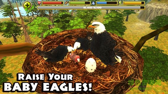 模擬獵鷹中文版(Eagle Simulator) v1.0 安卓版 0