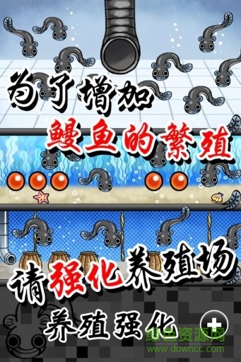 鰻魚養(yǎng)殖場 v1.3 安卓版 0