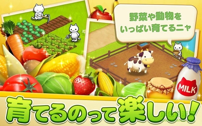 星星島貓咪最新版 v1.0 安卓版 0