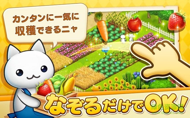 星星島貓咪最新版 v1.0 安卓版 3