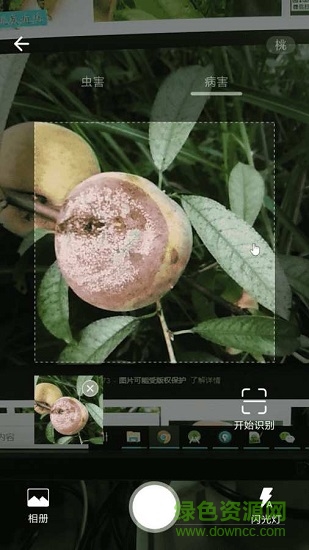 植保家下載