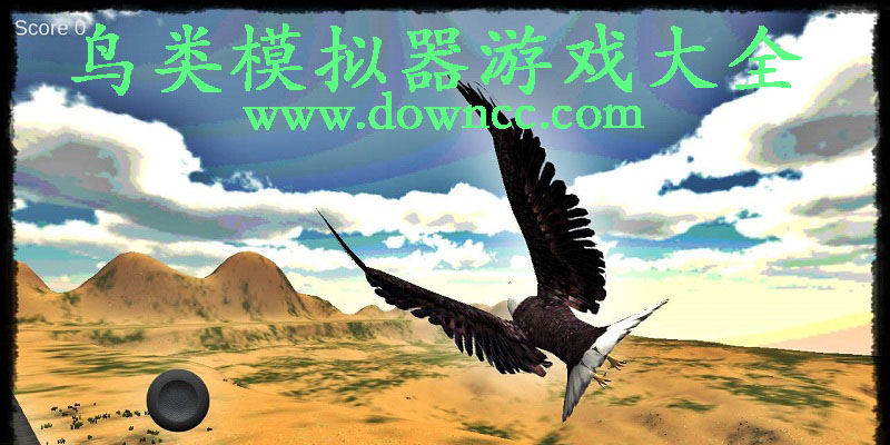 鳥(niǎo)類(lèi)模擬器