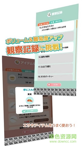 小鳥觀察2手游(とりおっち2) v2.4.1 官方安卓版 0