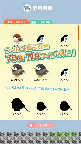 小鳥觀察2手游(とりおっち2) v2.4.1 官方安卓版 1