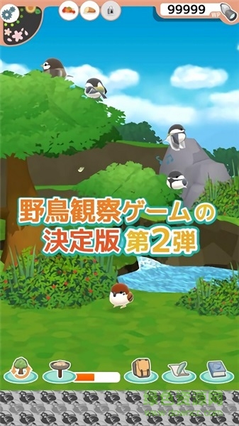 小鳥觀察2下載 小鳥觀察2游戲下載