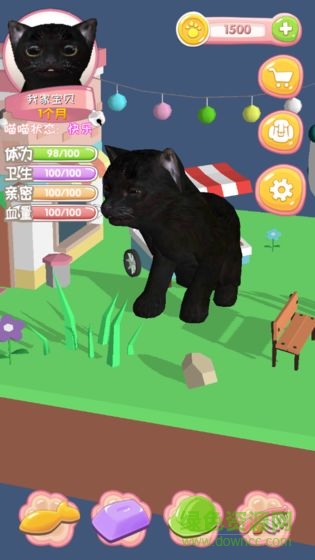我家喵喵下載