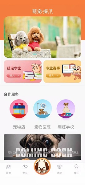探爪小程序 v1.3.6 安卓版 1