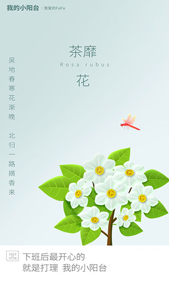 我的小陽臺游戲下載