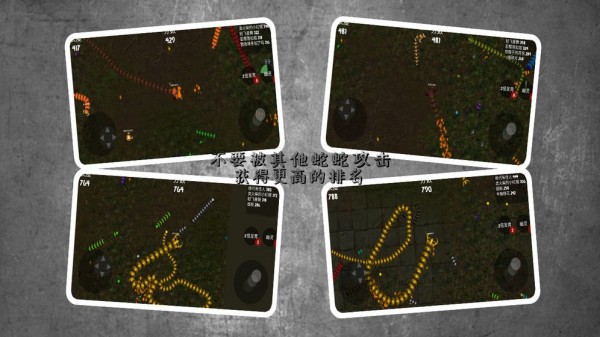 蛇蛇進(jìn)化作戰(zhàn)手游 v1.0 安卓版 0