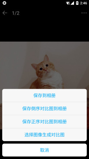 貓咪成長(zhǎng)過程記錄 v2.1.7 安卓版 2