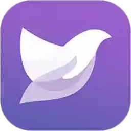 掌鴿官方版