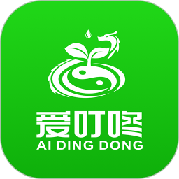 愛叮咚