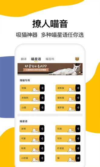 貓語翻譯app下載