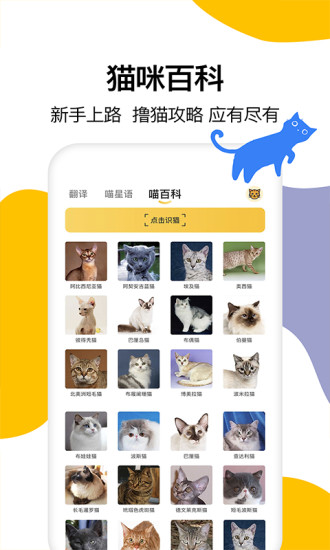 貓語翻譯軟件免費版 v1.6 安卓版 2