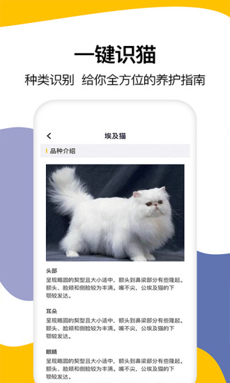 貓語翻譯軟件免費版 v1.6 安卓版 3