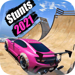 特技賽車2021