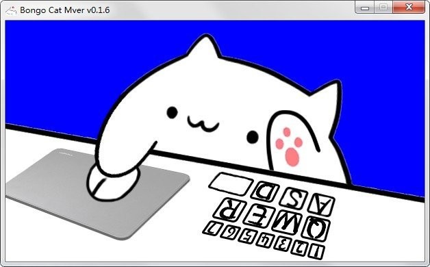 手鼓貓